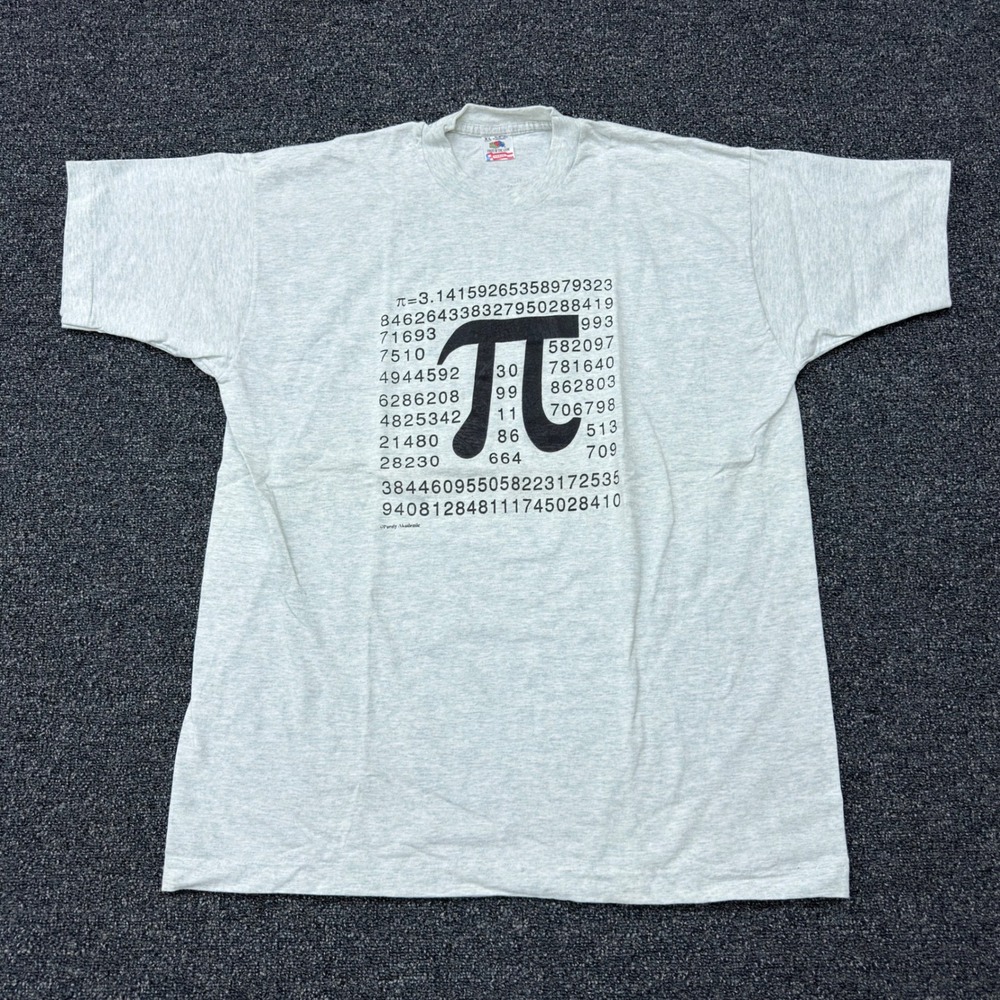 Vintage Fruit of the Loom Pi Math Graphic T Shirt XL Gray Purely Akademic USA